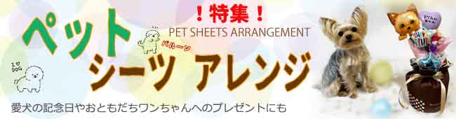 ペットシーツとバルーンアレンジの組み合わせです